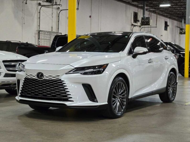 
								2023 Lexus RX 350 Luxury full									
