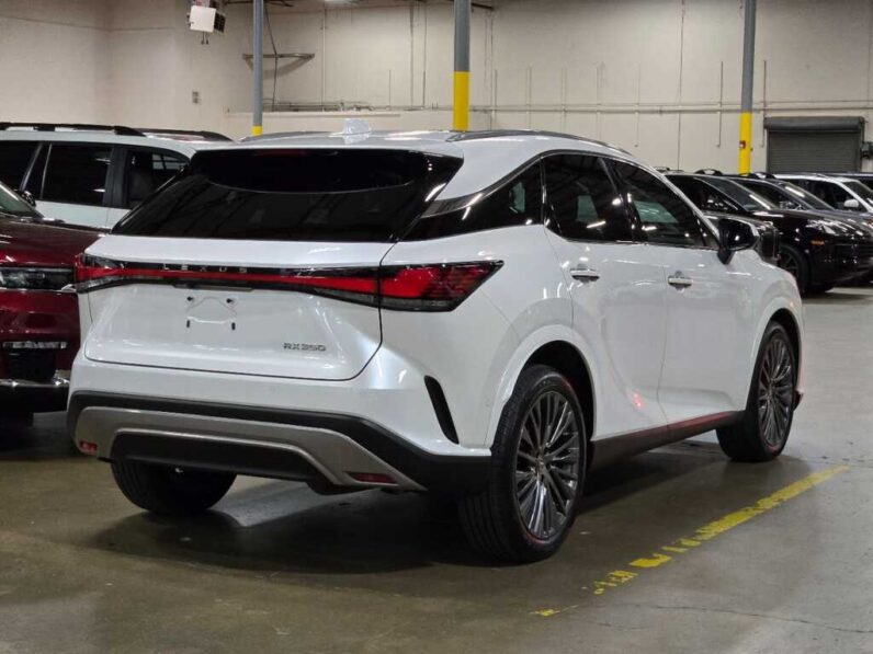 
								2023 Lexus RX 350 Luxury full									