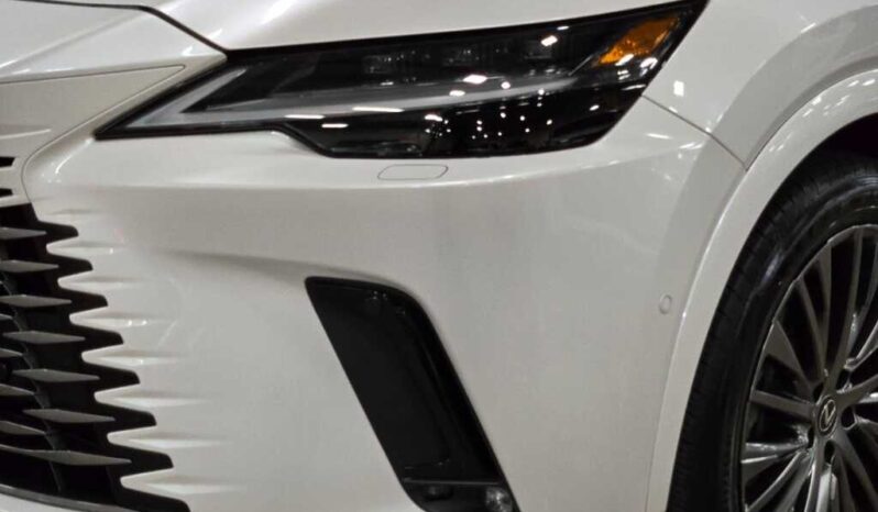 
								2023 Lexus RX 350 Luxury full									