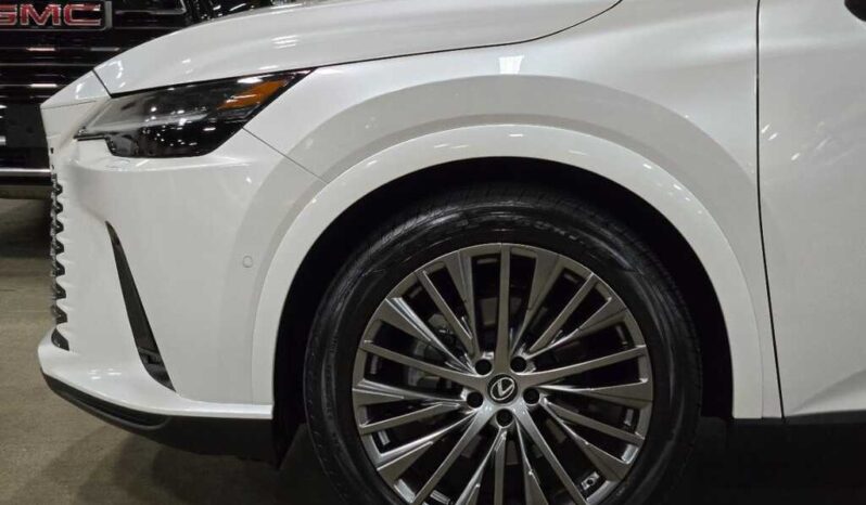 
								2023 Lexus RX 350 Luxury full									